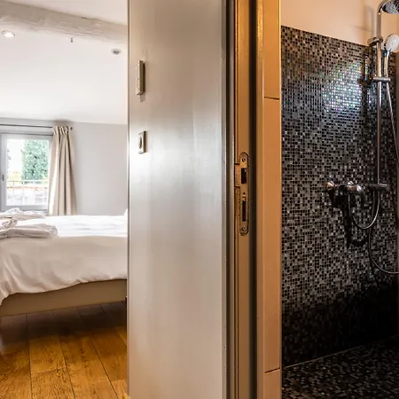 Hotel Boutique Entraigues 4*